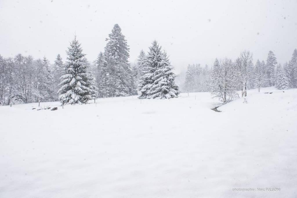 Chalet Charligustine - Gerardmer - 8P Exterior photo