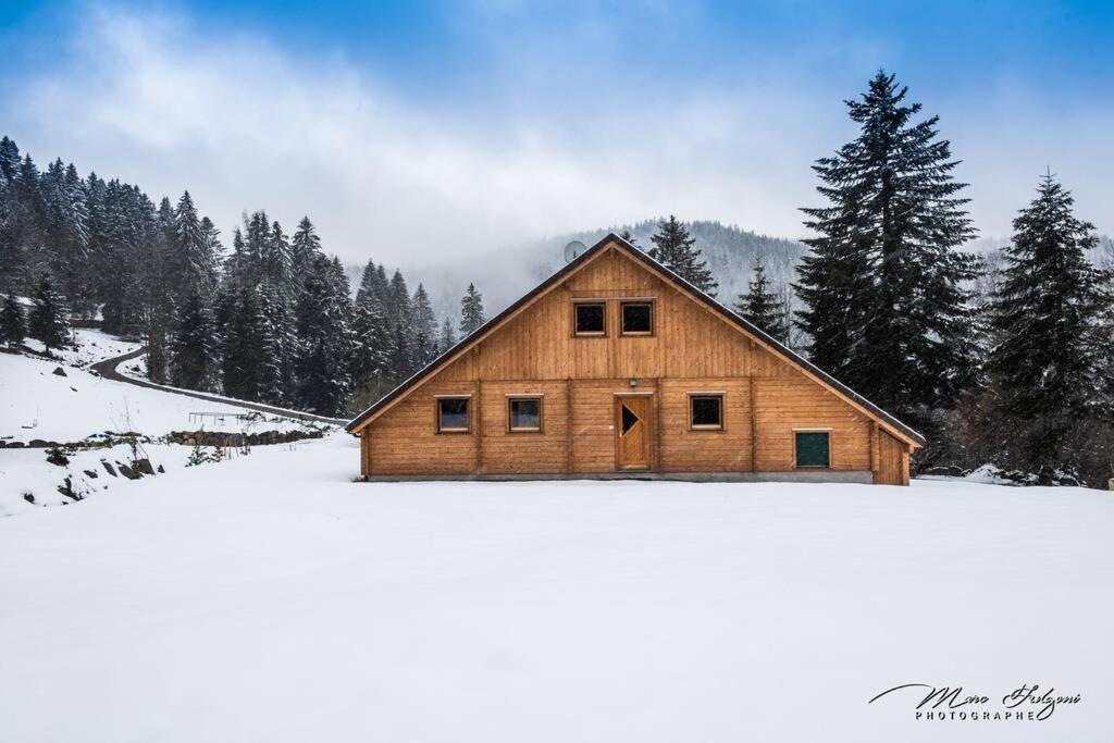 Chalet Charligustine - Gerardmer - 8P Exterior photo